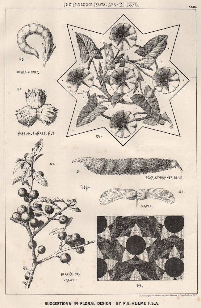 Suggestions in Floral; Design by F.E. Hulme F.S.A.. Decorative (21) 1876 print